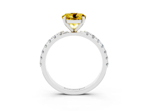 White gold Round Cut Yellow Sapphire Solitaire Pavé Band with Four-Prong Setting_27