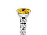 White gold Round Cut Yellow Sapphire Solitaire Ring with Cathedral Setting and Pavé Band_29