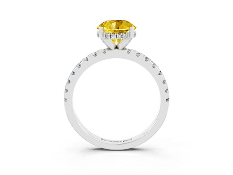 White gold Round Cut Yellow Sapphire Solitaire Ring with Pavé Band and Four-Prong Setting_63
