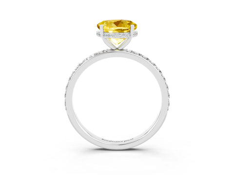 White gold Round Cut Yellow Sapphire Solitaire Ring with Pavé Band and Hidden Halo_27