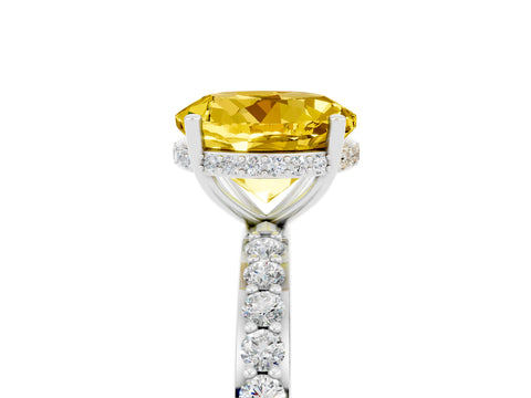 White gold Round Cut Yellow Sapphire Solitaire Ring with Pavé Band and Hidden Halo_5
