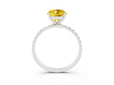 White gold Round Cut Yellow Sapphire Solitaire Ring with Pave Band and Four Prong Setting_15