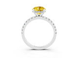 White gold Round Cut Yellow Sapphire Solitaire Ring with Round  Pavé Band and Four-Prong Setting_51
