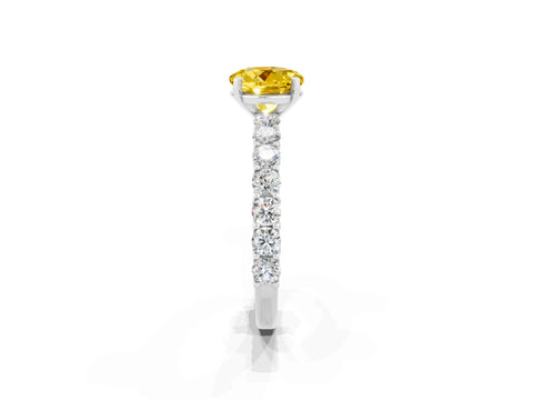 White gold Round Cut Yellow Sapphire Solitaire Ring with Shared Prong Pavé Band and Four-Prong Setting_1