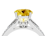 White gold Round Cut Yellow Sapphire Split Shank Engagement Ring with Pavé Band_28