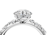 White gold Round Diamond Cluster Prong-Set Solitaire Ring_59