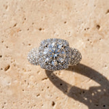 White gold Round Diamond Halo Ring with Cluster Pavé Band and Four-Prong Setting_24