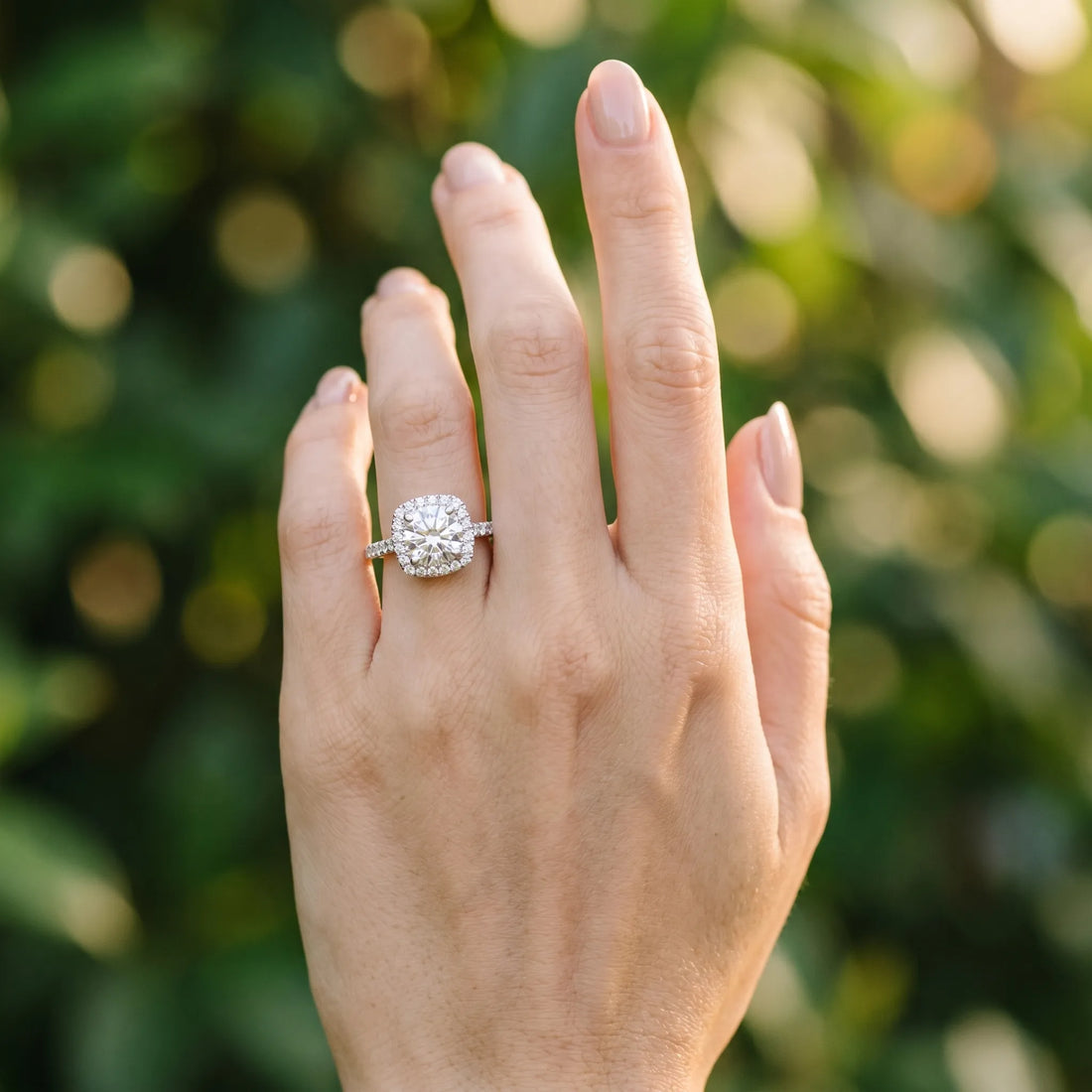 White gold Round Diamond Halo Ring with Pavé Band_29