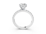 White gold Round Diamond Pavé Band Solitaire with Four-Prong Setting_232