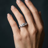 White gold Round Diamond Three-Stone Ring with Prong Setting and Pavé Band_24