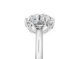 White gold Round Solitaire Cathedral Diamond Ring with Six-Prong Setting_38