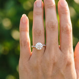 White gold Round Solitaire Twist Band with Pavé Diamonds and Four-Prong Setting_124