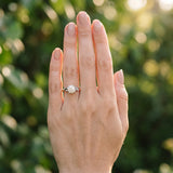 White gold Round Solitaire Twist Engagement Ring with Leaf Accents and Prong Setting_21