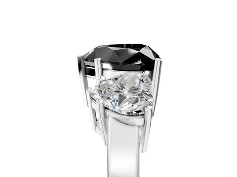 White gold Three-Stone Fancy Black Heart Cut Cut Diamond Engagement Ring with Flat Band and Four-Prong Setting_19