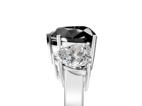 White gold Three-Stone Fancy Black Heart Cut Cut Diamond Engagement Ring with Flat Band and Four-Prong Setting_5