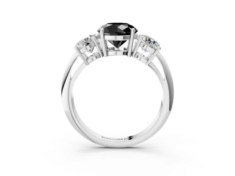 White gold Three-Stone Fancy Black Round Cut Cut Diamond Engagement Ring with Prong Setting on a White Gold Band_15