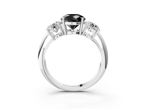 White gold Three-Stone Fancy Black Round Cut Cut Diamond Engagement Ring with Prong Setting on a White Gold Band_28