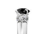 White gold Three-Stone Fancy Black Round Cut Cut Diamond Ring with Prong Setting and Classic Band_17