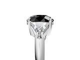 White gold Three-Stone Fancy Black Round Cut Cut Diamond Ring with Trillion Side Stones and Four-Prong Setting_16