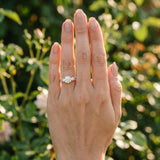 White gold Three-Stone Round Cut Milgrain Pave Band Prong Setting Ring_30