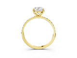 Yellow gold 2.5 Carat Oval Cut  Solitaire Ring with Pave Band and Four Prong Setting_3