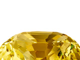 Yellow gold Cushion Cut Diamond Cluster Pavé Band with Four-Prong Setting_5