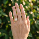Yellow gold Cushion Halo Split Shank Diamond Ring with Milgrain Prong Setting_6