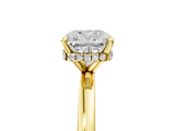 Yellow gold Cushion Solitaire Engagement Ring with Cathedral Band and Four-Prong Setting_26
