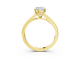 Yellow gold Cushion Solitaire Pavé Band with Four-Prong Setting_39