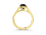 Yellow gold Fancy Black Cushion Cut Solitaire Cathedral Diamond Engagement Ring with Channel-Set Band and Four-Prong Setting_6