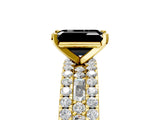 Yellow gold Fancy Black Emerald Cut Diamond Solitaire Ring with Pavé and Channel Set Band_5