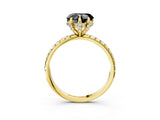 Yellow gold Fancy Black Heart Cut Diamond Solitaire Ring with Four-Prong Setting and Pavé Band_6