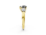 Yellow gold Fancy Black Heart Cut Diamond Three-Stone Ring with Four-Prong Setting and Classic Band_2
