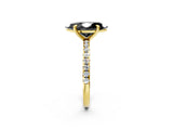 Yellow gold Fancy Black Marquise Cut Diamond Brilliant Solitaire Ring with Pavé Band and Four-Prong Setting_2