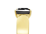 Yellow gold Fancy Black Princess Cut Cut Diamond Channel Set Solitaire Ring with Four-Prong Setting_5