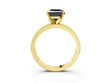 Yellow gold Fancy Black Princess Cut Diamond Milgrain Pavé Engagement Ring with Four-Prong Setting_3