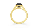Yellow gold Fancy Black Princess Cut Solitaire Cathedral Diamond Engagement Ring with Channel-Set Band and Four-Prong Setting_6