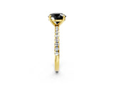 Yellow gold Fancy Black Round Cut Diamond Brilliant Solitaire Ring with Pavé Band and Four-Prong Setting_14