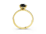 Yellow gold Fancy Black Round Cut Diamond Brilliant Solitaire Ring with Pavé Band and Four-Prong Setting_15
