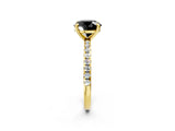 Yellow gold Fancy Black Round Cut Diamond Brilliant Solitaire Ring with Pavé Band and Four-Prong Setting_2