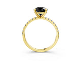 Yellow gold Fancy Black Round Cut Diamond Brilliant Solitaire Ring with Pavé Band and Four-Prong Setting_3
