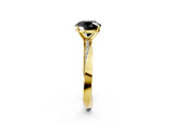 Yellow gold Fancy Black Round Cut Diamond Engagement Ring with Side Stone Accents and Four-Prong Setting_62