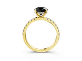 Yellow gold Fancy Black Round Cut Diamond Pave Band Solitaire Ring with Four-Prong Setting_15