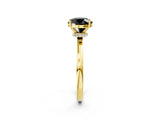 Yellow gold Fancy Black Round Cut Diamond Solitaire Ring with Classic Band and Four-Prong Setting_14