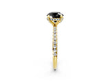 Yellow gold Fancy Black Round Cut Diamond Solitaire Ring with Four-Prong Setting and Pavé Band_5