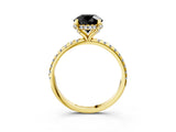 Yellow gold Fancy Black Round Cut Diamond Solitaire Ring with Four-Prong Setting and Pavé Band_6