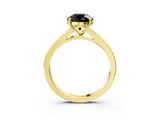 Yellow gold Fancy Black Round Cut Diamond Solitaire Ring with Pavé Band and Prong Setting_15