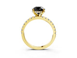 Yellow gold Fancy Black Round Cut Diamond Solitaire Ring with Round  Pavé Band and Four-Prong Setting_39