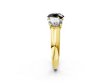 Yellow gold Fancy Black Round Cut Three-Stone Diamond Ring with Prong Setting on a Classic Band_14