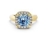 Yellow gold Fancy Blue Cushion  Cut Halo Solitaire Engagement Ring with Square Band and Four-Prong Setting_113